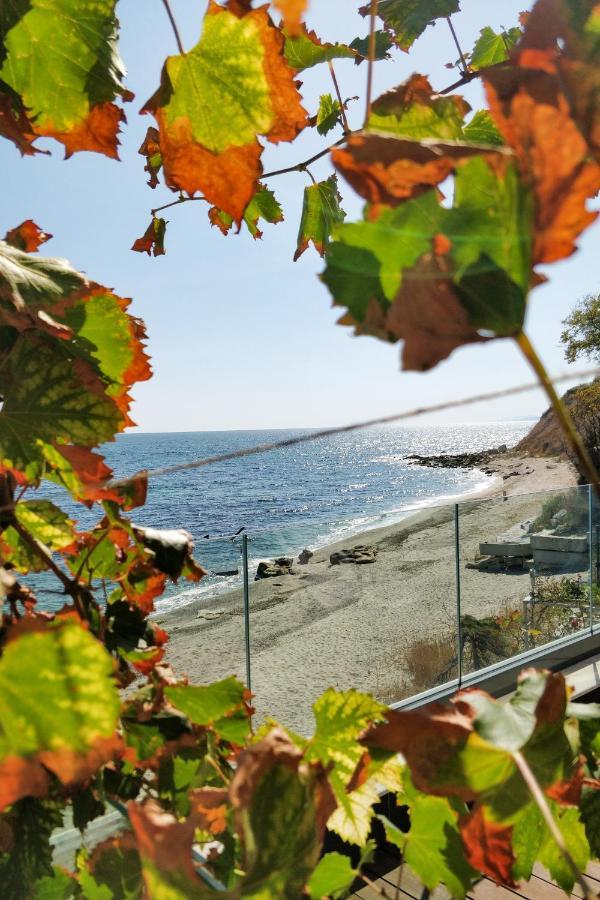 Beach Villa Varna - Cosiness 4 Meters From The Sea מראה חיצוני תמונה